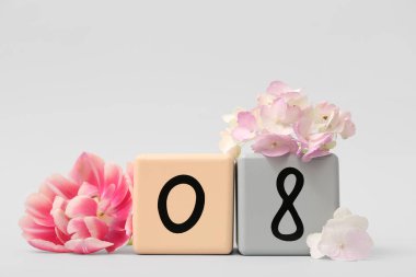 Küp takvimi, tarih 08, güzel laleler ve gri arka planda ortanca çiçekleri. Uluslararası Kadınlar Günü