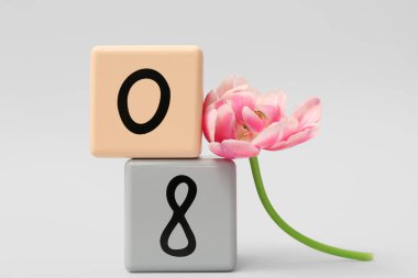 Küp takvimi, tarih 08 ve gri arka planda güzel bir lale. Uluslararası Kadınlar Günü