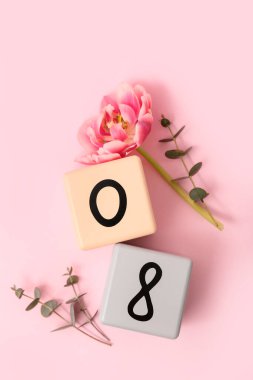 Küp takvimi, tarih 08, güzel lale ve okaliptüs pembe arka planda. Uluslararası Kadınlar Günü