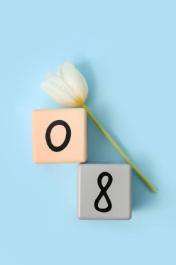 Küp takvimi, tarih 08 ve mavi arka planda güzel beyaz lale. Uluslararası Kadınlar Günü