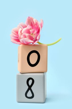 Küp takvimi, tarih 08 ve mavi arka planda güzel bir lale. Uluslararası Kadınlar Günü
