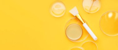 Sarı arkaplan üzerinde numune ve makyaj fırçası bulunan petri kapları metin için boşluk