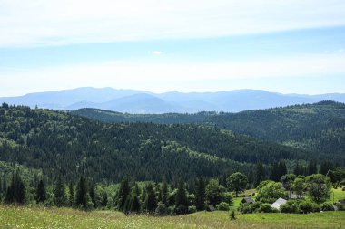 Karpatlar, Ukrayna 'da ormanlı dağ manzarası