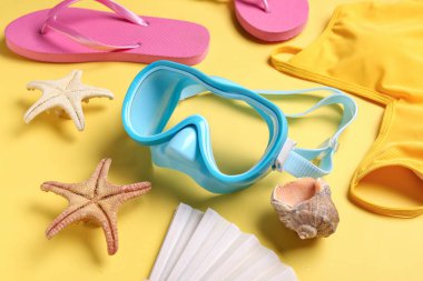 Renkli deniz yıldızlı plaj aksesuarları.