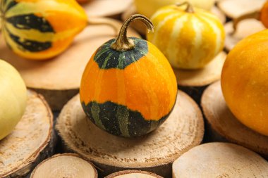 ahşap zemin üzerinde taze kabak