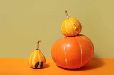 Renkli arkaplanda farklı taze balkabakları