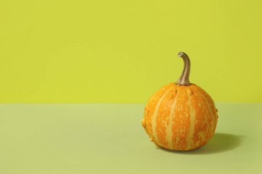 Yeşil arka planda taze balkabağı