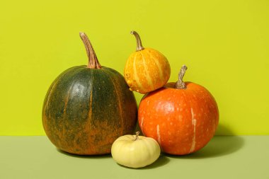 Yeşil arka planda farklı taze balkabakları