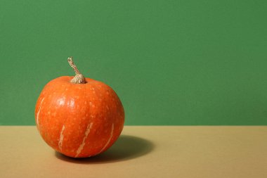 Renkli arkaplanda taze balkabağı