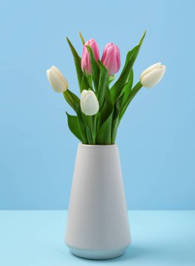 Mavi arka planda güzel laleleri olan vazo. Uluslararası Kadınlar Günü