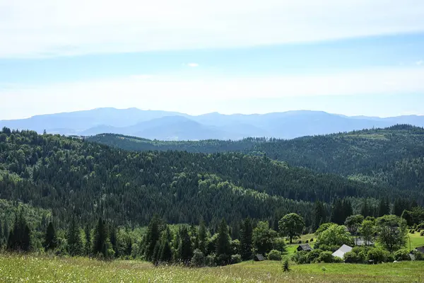 Karpatlar, Ukrayna 'da ormanlı dağ manzarası