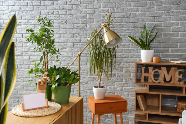 Interior of living room with plants, lamp and table