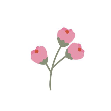 Beyaz arkaplanda çiçekler çizildi