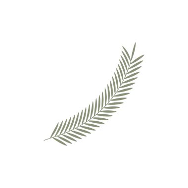 Beyaz arkaplanda çizilen dal