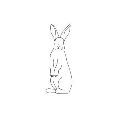 Cute drawn bunny on white background