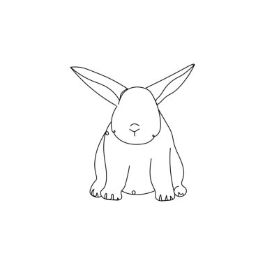 Cute drawn bunny on white background