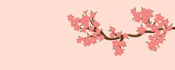 Tree branch with flowers on pink background