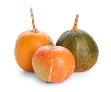 Beyaz arkaplanda farklı taze balkabakları