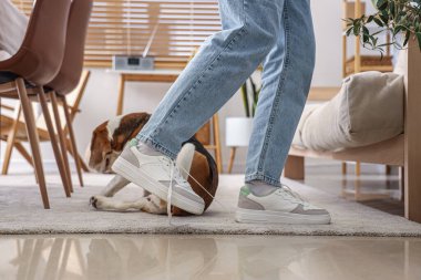 Bağcıksız ayakkabı bağcığına takılıp düşen genç bir kadın, yakın plan. Travma konsepti