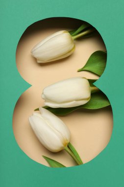 Kahverengi zemin üzerinde güzel laleler olan figür 8 şeklinde yeşil kağıt kes. Uluslararası Kadınlar Günü