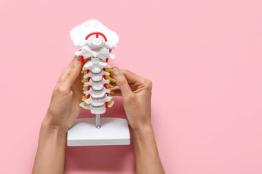 Pembe arka planda omurga modeli olan kadın.