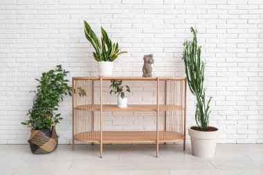 Ev bitkileri, raf ünitesi ve beyaz duvarın yanında dekorasyonu olan büyük kaktüsler.