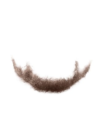 Tarz sahibi adamın ayı stili beyazda izole edilmiş.