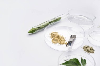 Bitki yapraklı Petri kapları, spatula ve beyaz arka planda örnekler