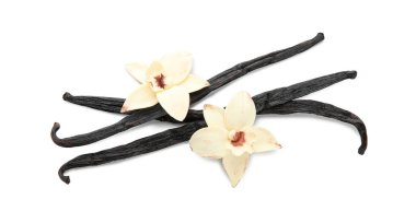 Aromatik vanilya çubukları ve beyaz arka plan üzerinde çiçekler