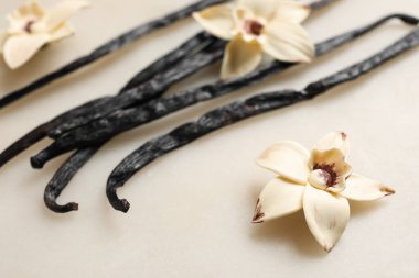 Aromatik vanilya çubukları ve bej arka planda çiçekler