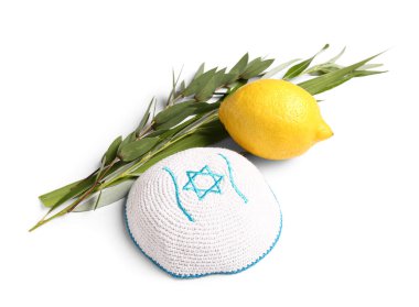 Beyaz arka planda dört tür (lulav, hadas, arava, etrog) Sukkot festival sembolleri ve kippah