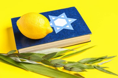 Dört tür (lulav, hadas, arava, etrog) sarı zemin üzerinde Sukkot festival sembolleri ve Tevrat olarak