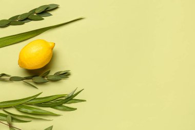 Dört tür (lulav, hadas, arava, etrog) yeşil arka planda Sukkot festival sembolleri olarak