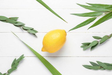 Dört tür (lulav, hadas, arava, etrog) beyaz ahşap arka planda Sukkot festival sembolleri olarak