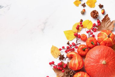 Olgun balkabakları, baharatlar, böğürtlenler ve açık arkaplanda düşen yapraklarla sonbahar kompozisyonu