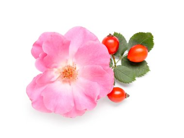 Çiçekli taze gül kalçası meyveleri ve beyaz arka planda yapraklar.