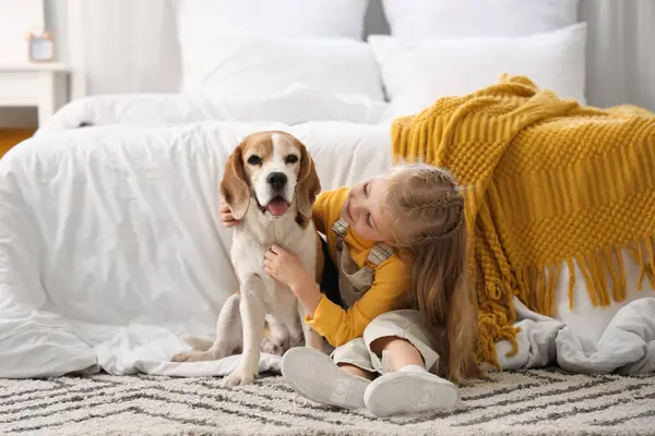 Yatak odasında Beagle köpeği olan tatlı küçük kız.