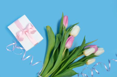 Mavi arka planda güzel laleler ve hediye kutusu. Uluslararası Kadınlar Günü