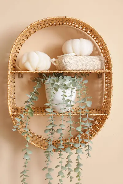 Tuvaletteki bej duvarda asılı süngerler ve ev bitkileriyle dolu bir hasır raf. Yakın plan.