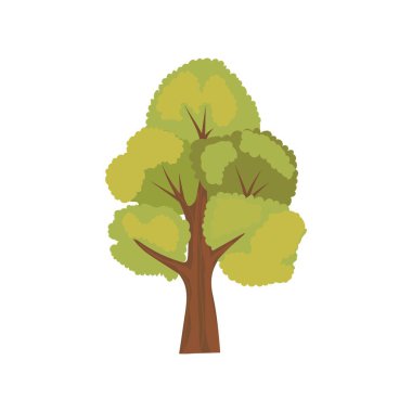 Beyaz arkaplanda meşe ağacı çiz