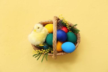 Boyanmış Paskalya yumurtaları, mimoza ve sarı arka planda civciv dolu sepet.
