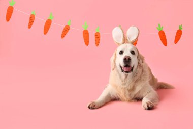 Tavşan kulaklı şirin Labrador köpeği ve pembe arka planda kağıt havuç. Paskalya kutlaması