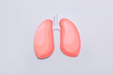 Gri arka planda kağıt ciğerler