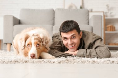 Avustralya çoban köpeği olan genç adam evde halının üzerinde yatıyor.