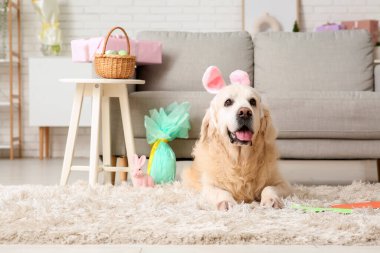 Paskalya günü evde yatan tavşan kulaklı şirin Labrador köpeği.