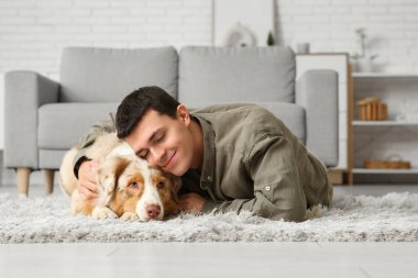 Avustralya çoban köpeği olan genç adam evde halının üzerinde yatıyor.