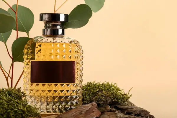 Bej arka planda yosun ve yapraklı bir şişe parfüm. Yakın çekim.