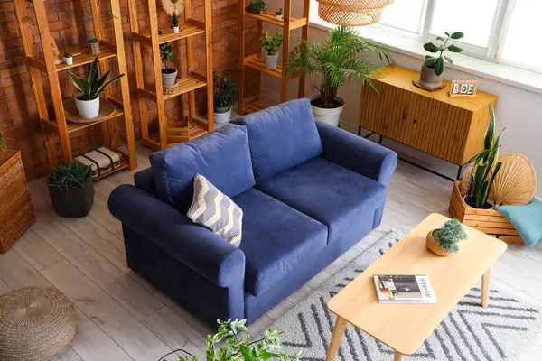 Interior of loft style living room with comfortable sofa, table, wooden chest drawer, houseplants and shelving units