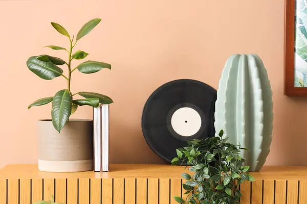Vinyl disk with books and plants on chest of drawers near beige wall