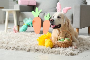 Paskalya yumurtaları halının üzerinde duran tavşan kulaklı şirin Labrador köpeği.